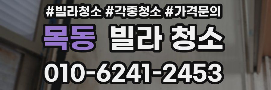 목동 빌라 청소