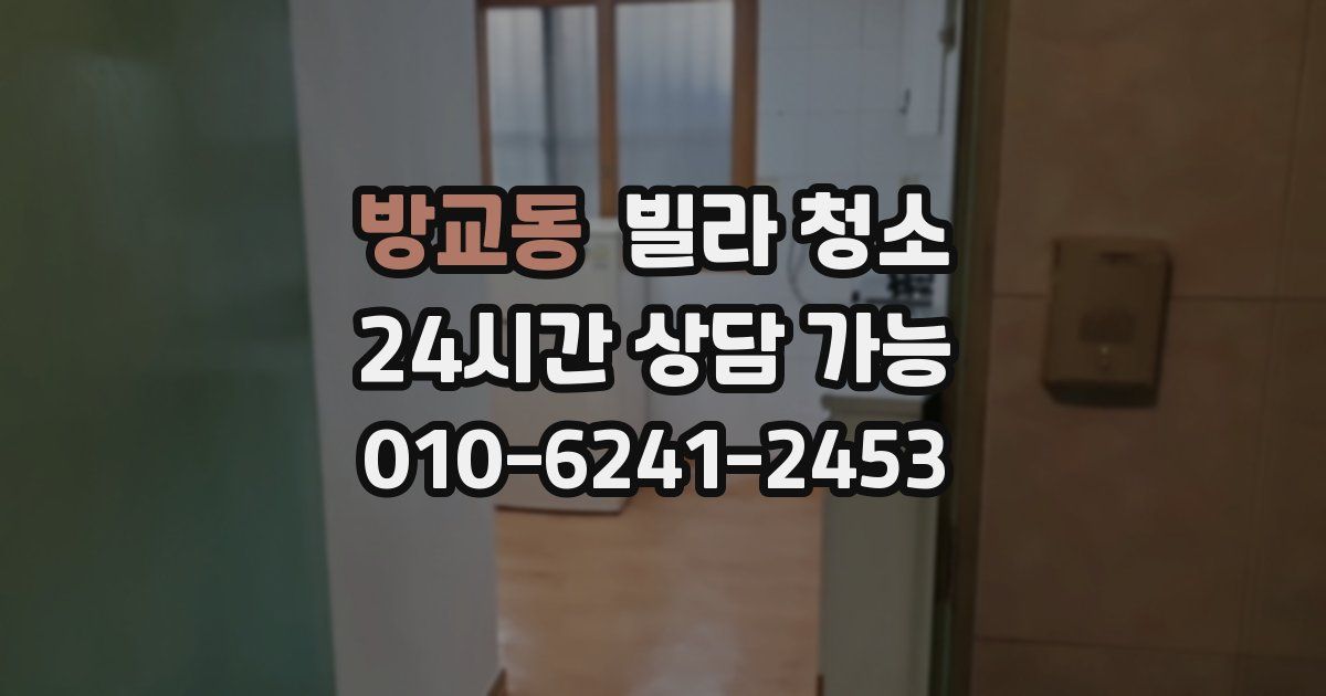 방교동 빌라 청소