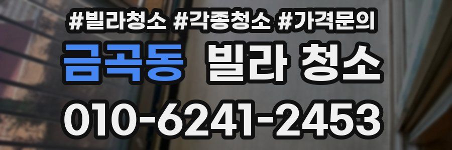 금곡동 빌라 청소