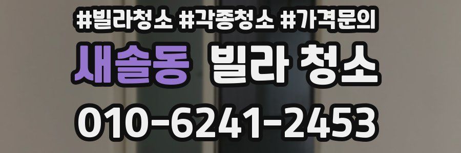 새솔동 빌라 청소