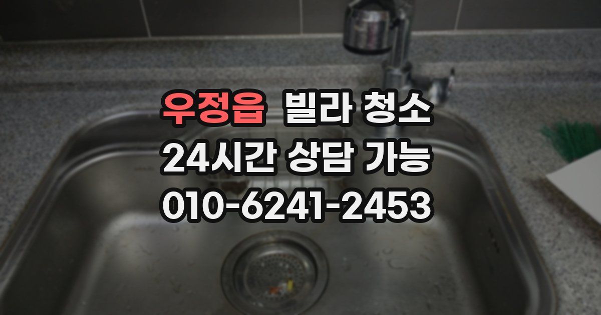 우정읍 빌라 청소