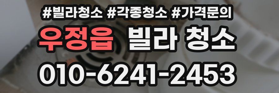 우정읍 빌라 청소