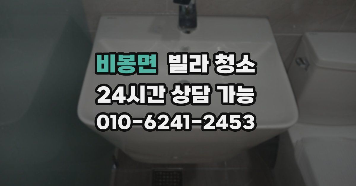 비봉면 빌라 청소