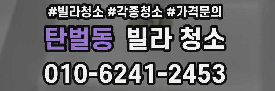 탄벌동 빌라 청소