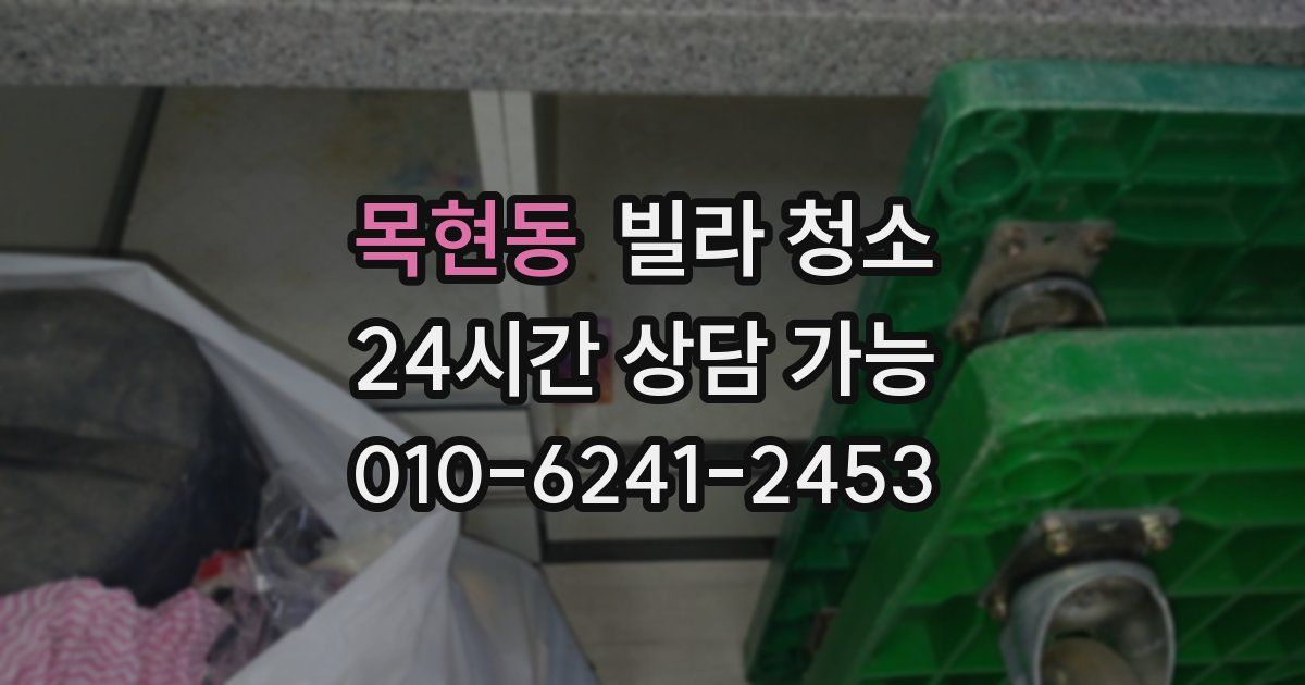 목현동 빌라 청소