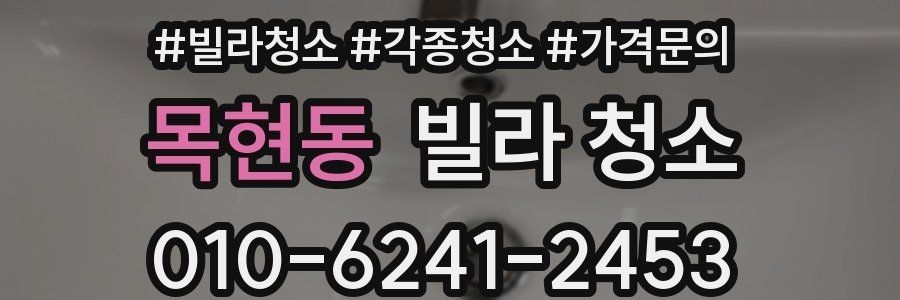 목현동 빌라 청소