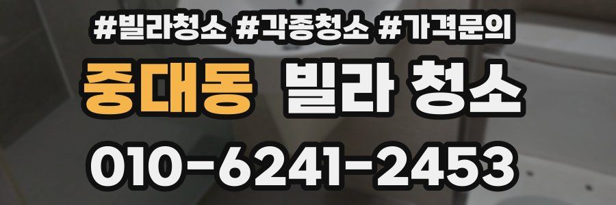 중대동 빌라 청소