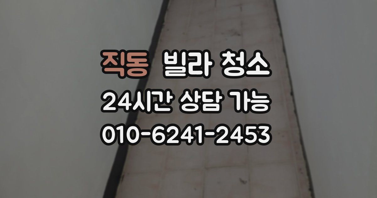 직동 빌라 청소