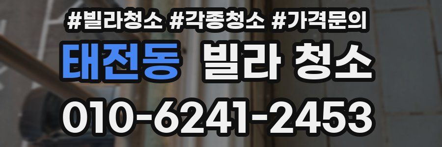 태전동 빌라 청소