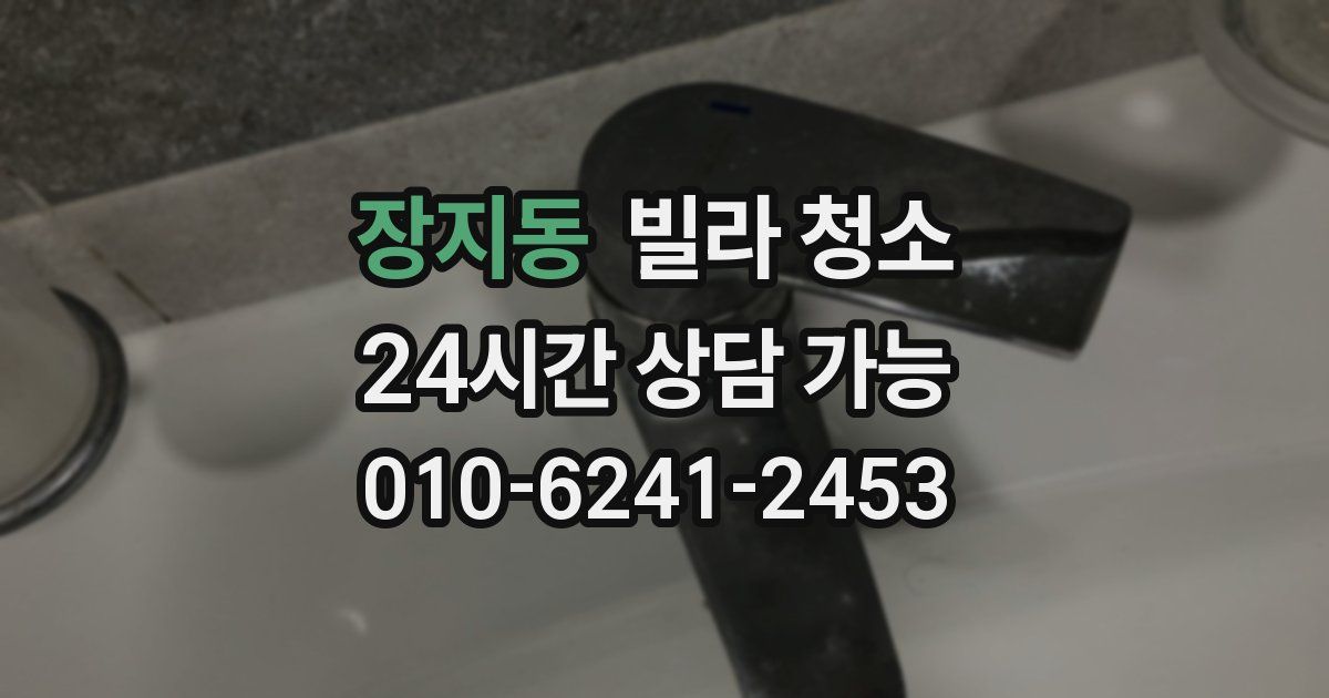 장지동 빌라 청소