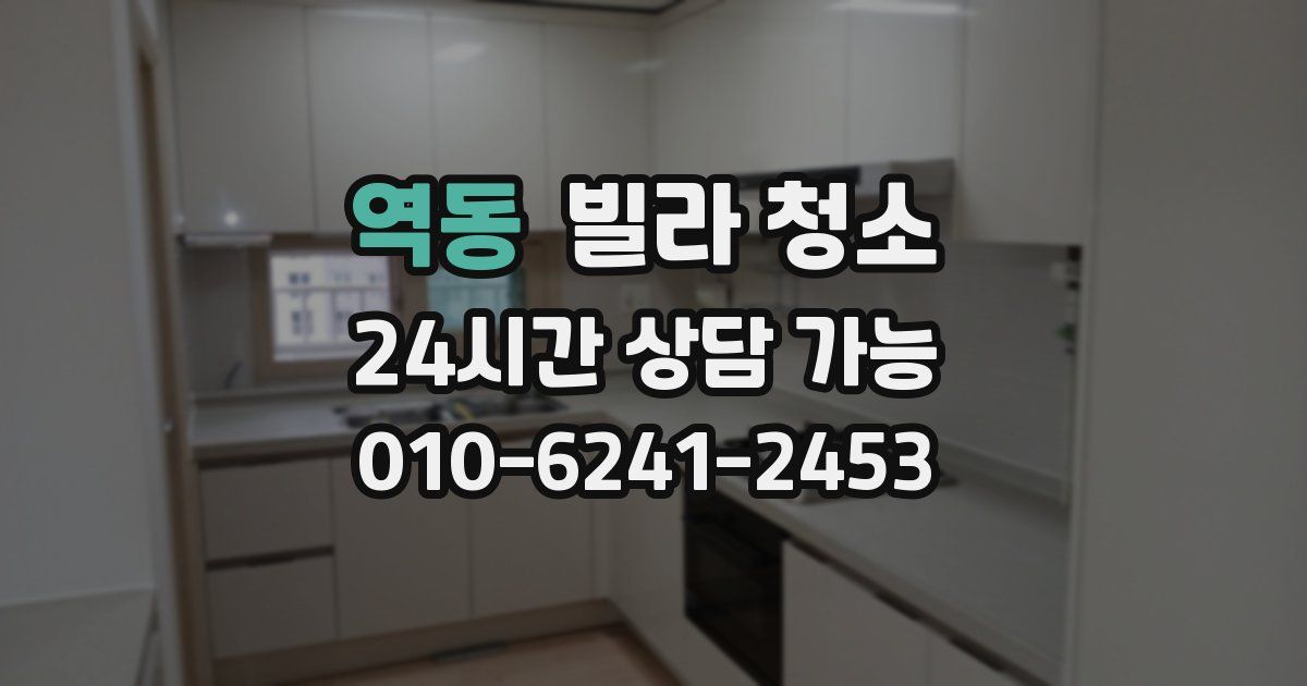 역동 빌라 청소