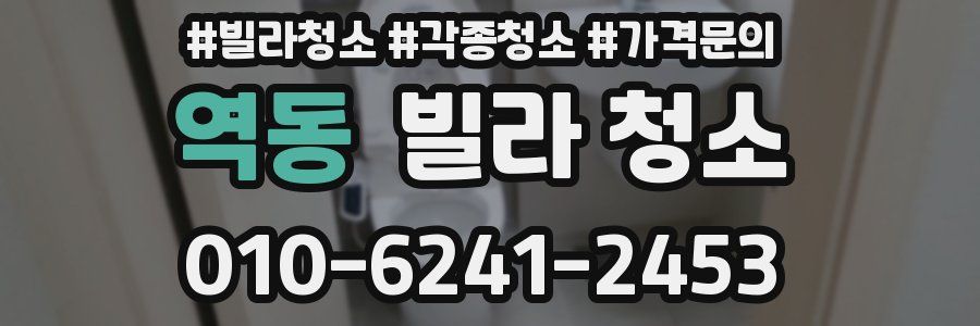 역동 빌라 청소