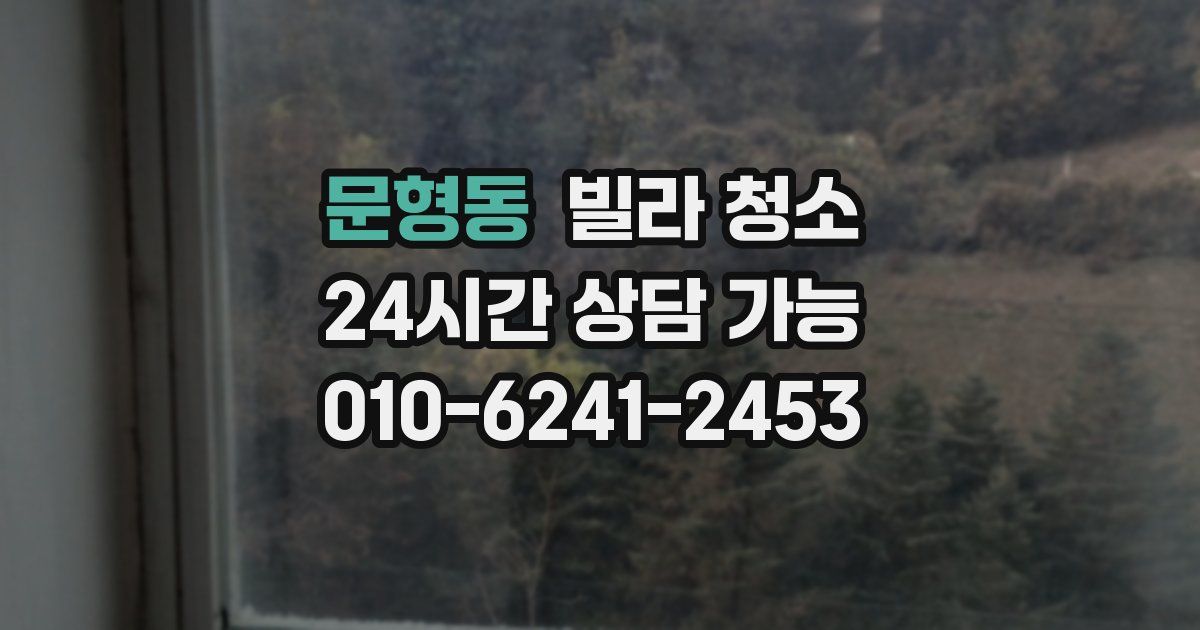 문형동 빌라 청소