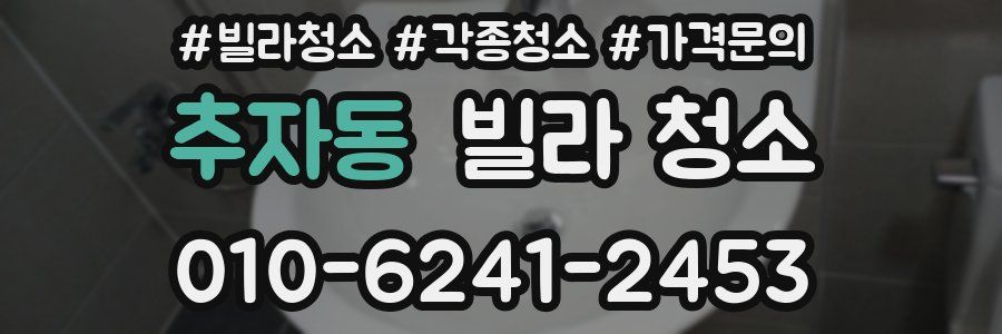 추자동 빌라 청소