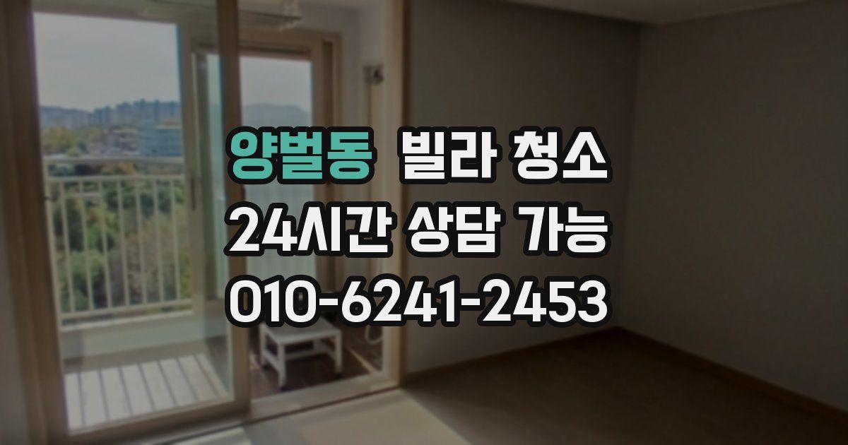 양벌동 빌라 청소