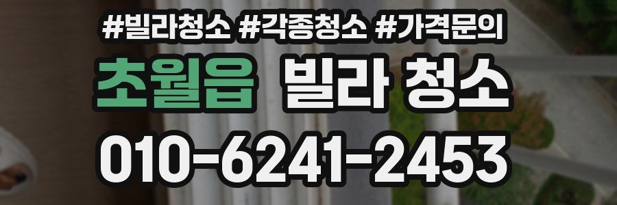 초월읍 빌라 청소