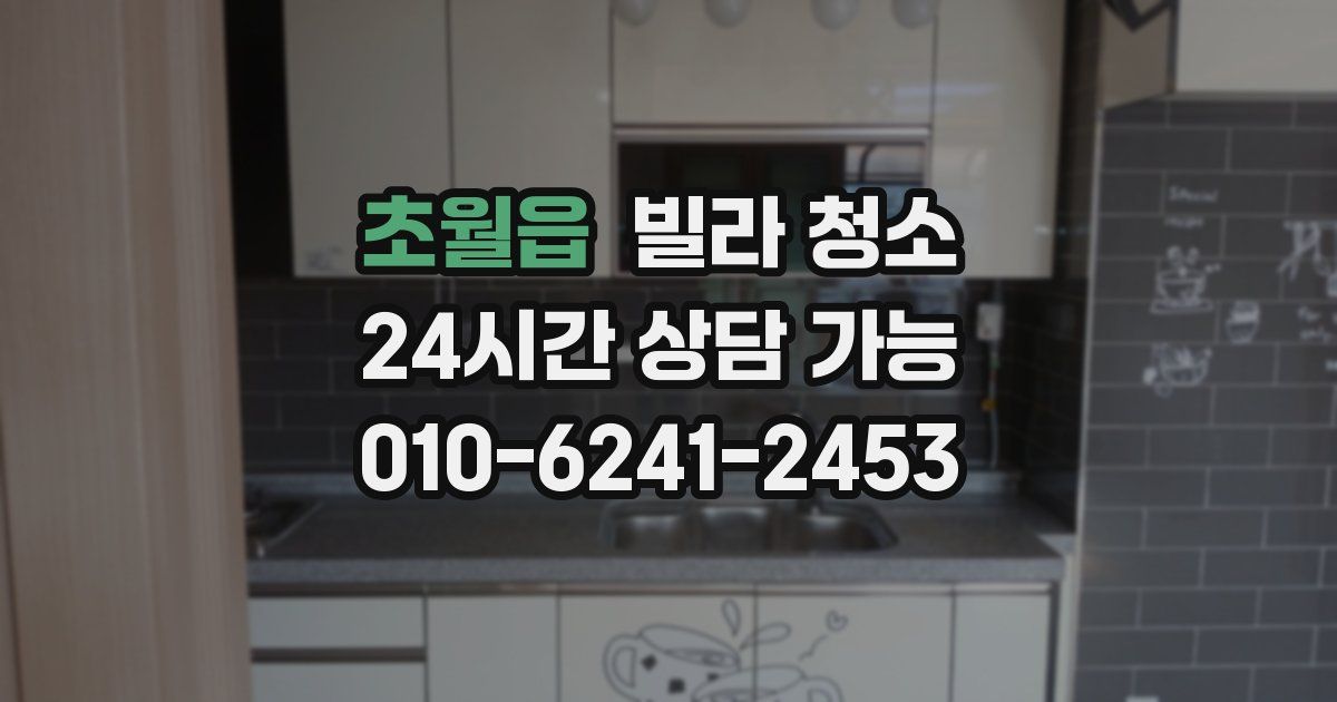 초월읍 빌라 청소