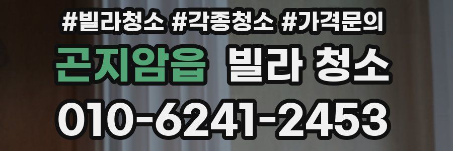 곤지암읍 빌라 청소