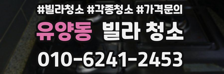 유양동 빌라 청소