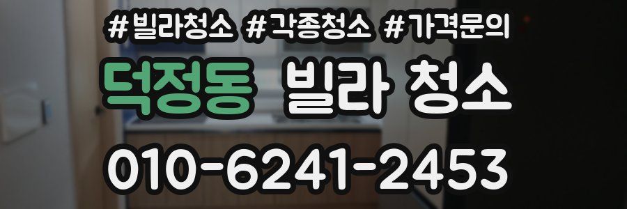 덕정동 빌라 청소