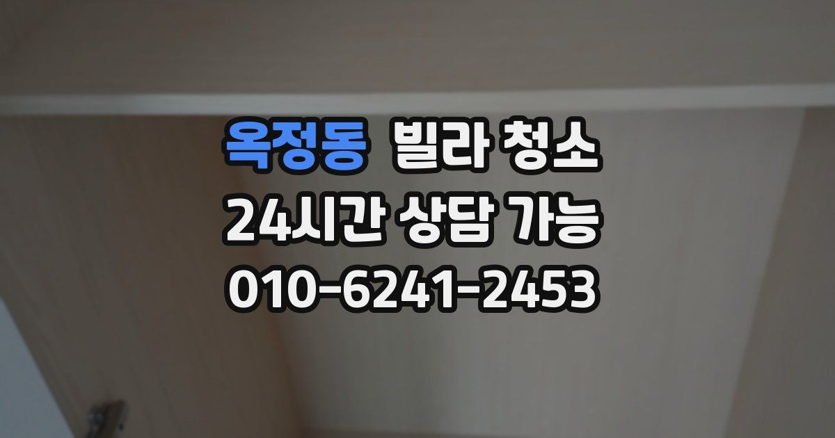 옥정동 빌라 청소