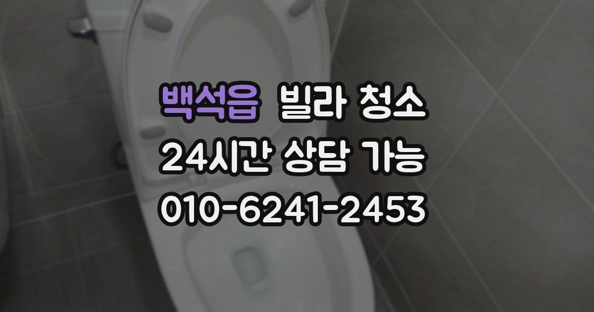 백석읍 빌라 청소