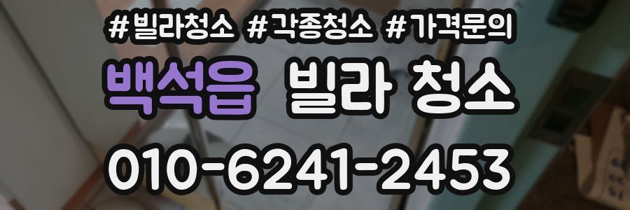 백석읍 빌라 청소