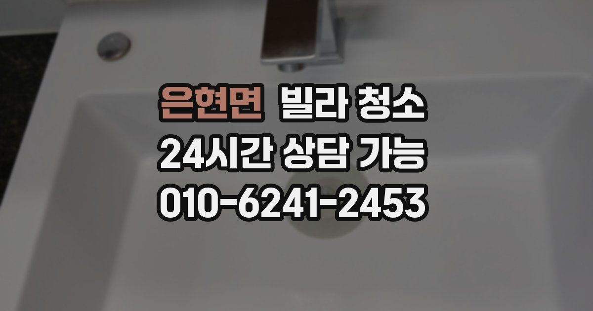 은현면 빌라 청소