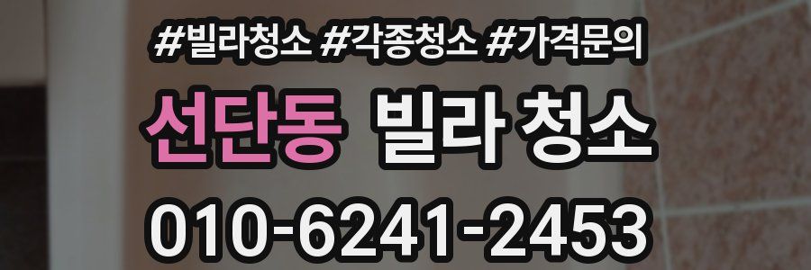 선단동 빌라 청소