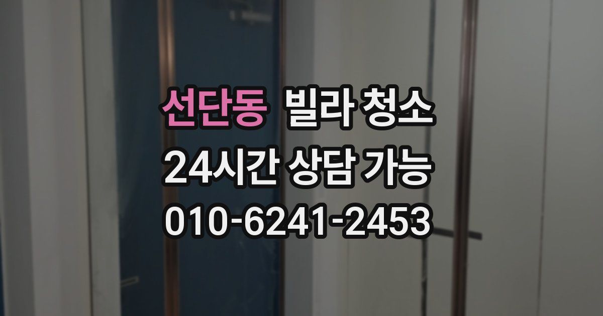 선단동 빌라 청소