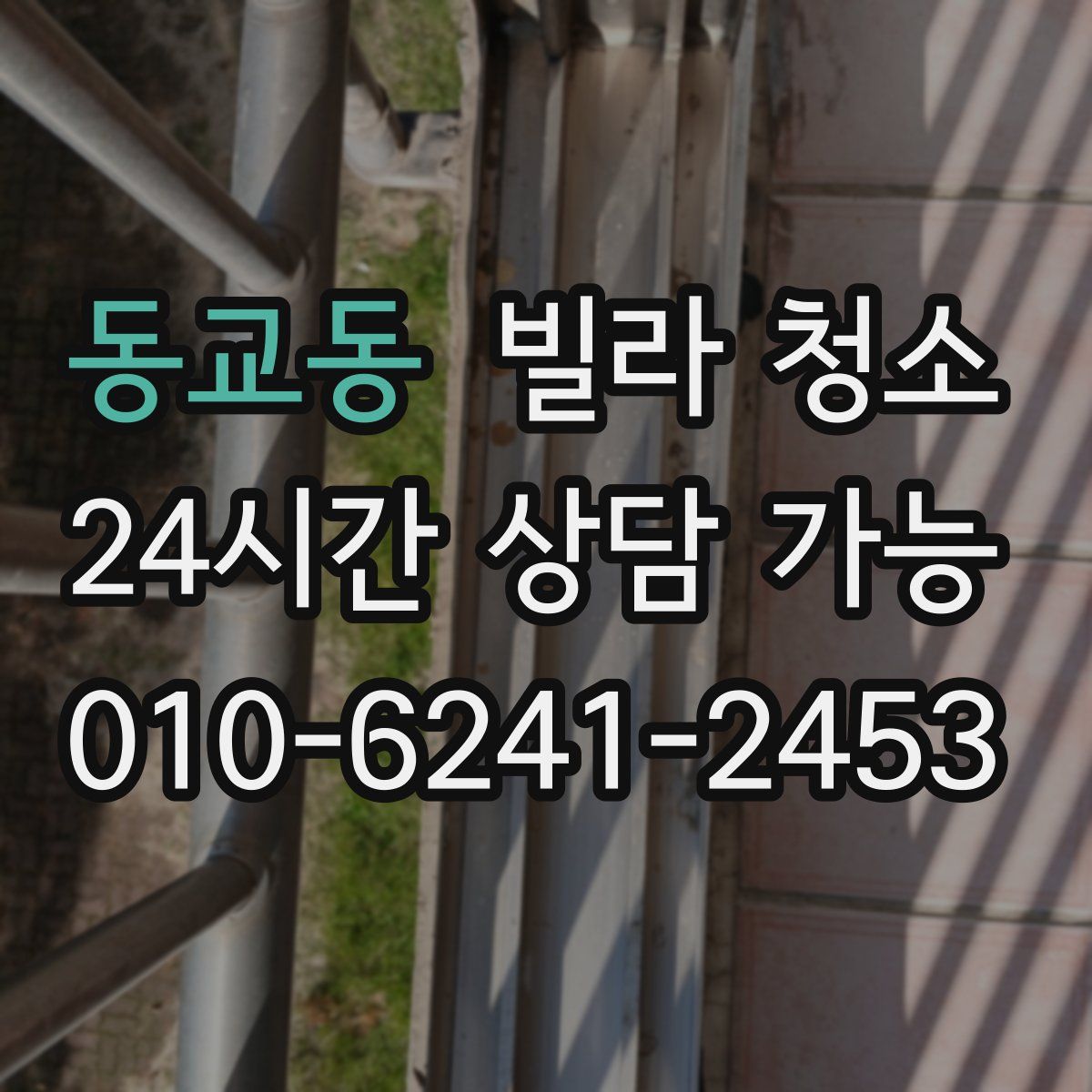 동교동 빌라 청소