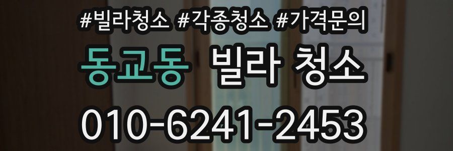 동교동 빌라 청소