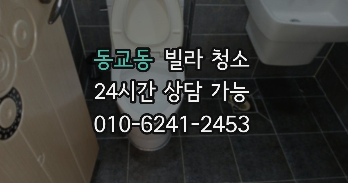 동교동 빌라 청소