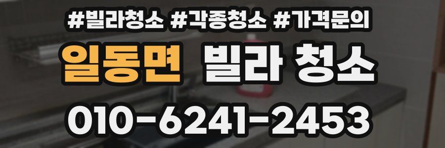 일동면 빌라 청소