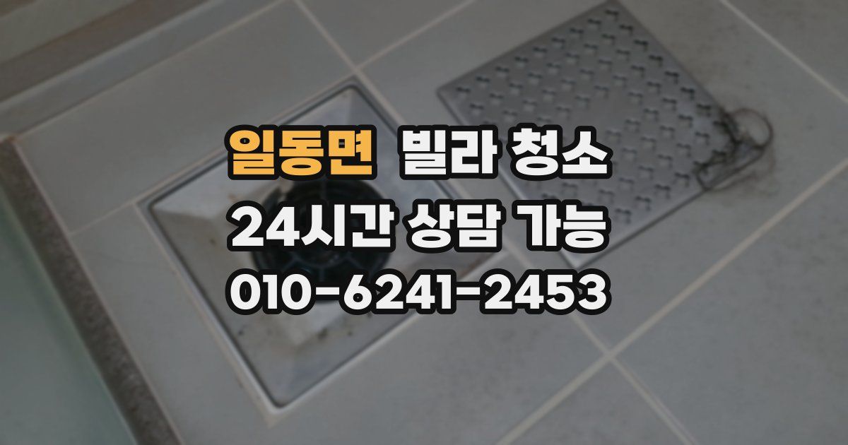 일동면 빌라 청소