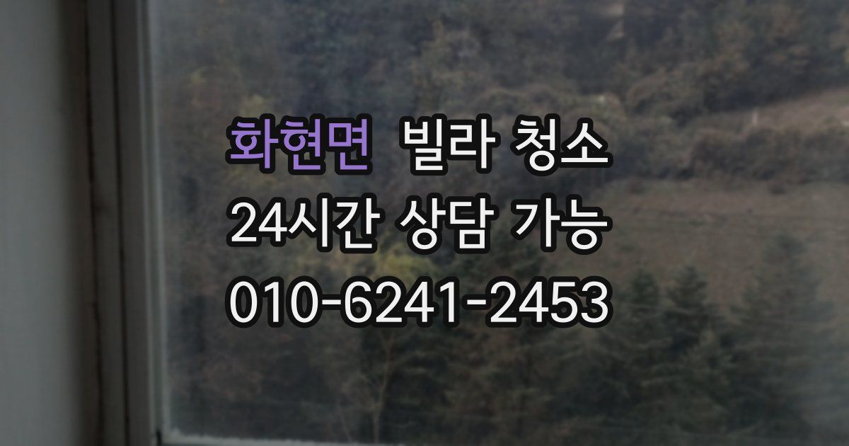 화현면 빌라 청소