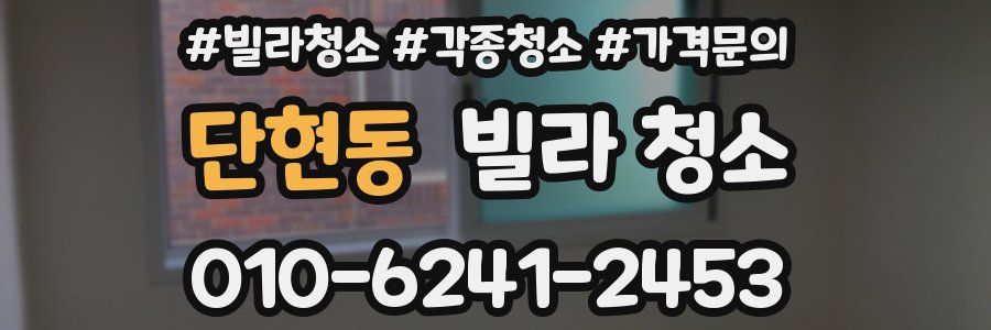 단현동 빌라 청소