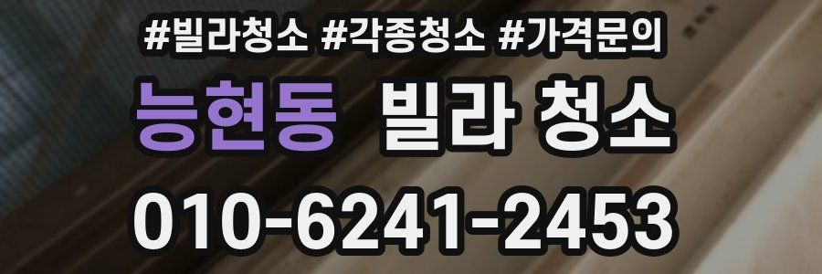 능현동 빌라 청소