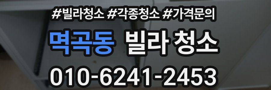 멱곡동 빌라 청소