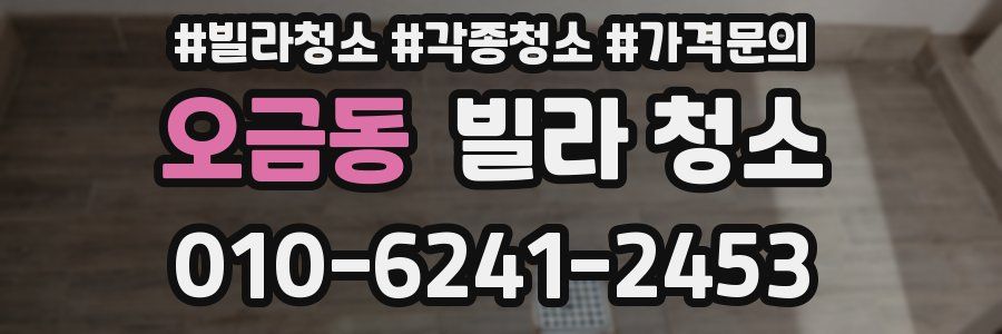 오금동 빌라 청소