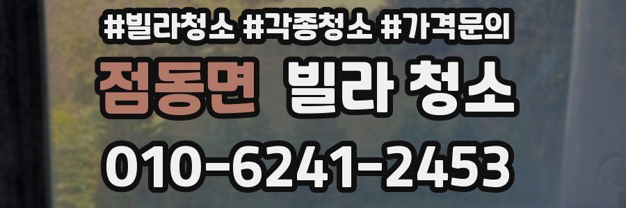 점동면 빌라 청소