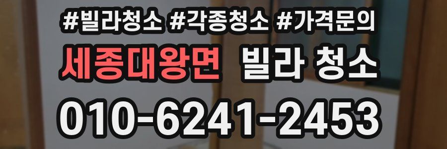 세종대왕면 빌라 청소