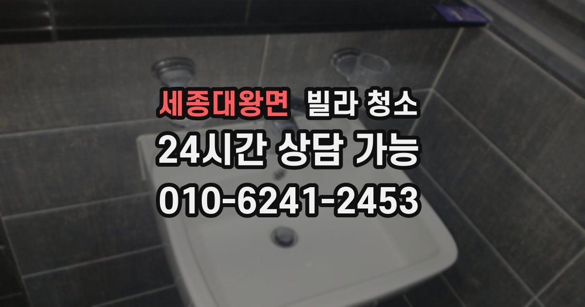 세종대왕면 빌라 청소