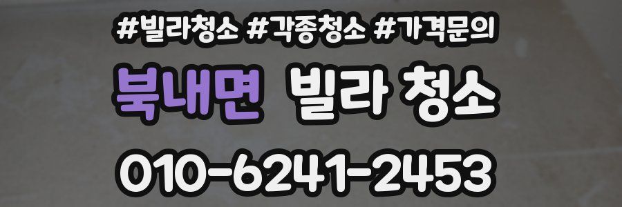 북내면 빌라 청소