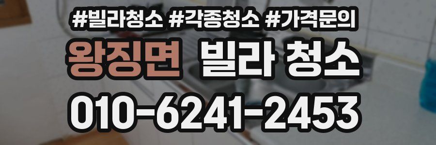 왕징면 빌라 청소