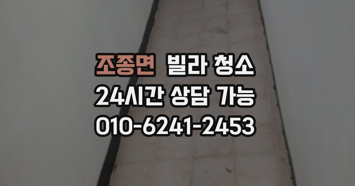 조종면 빌라 청소