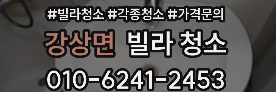 강상면 빌라 청소