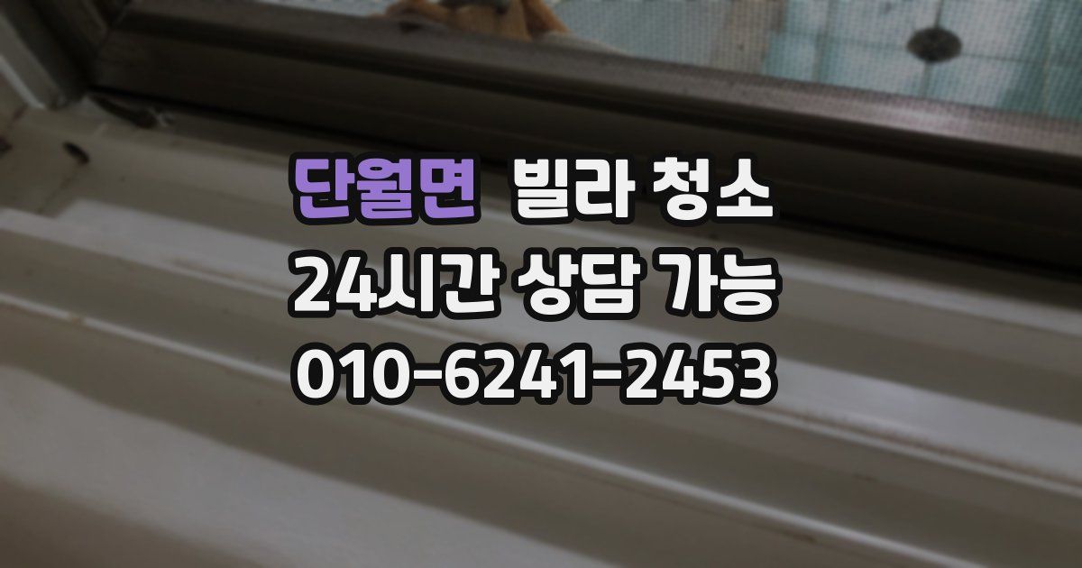 단월면 빌라 청소