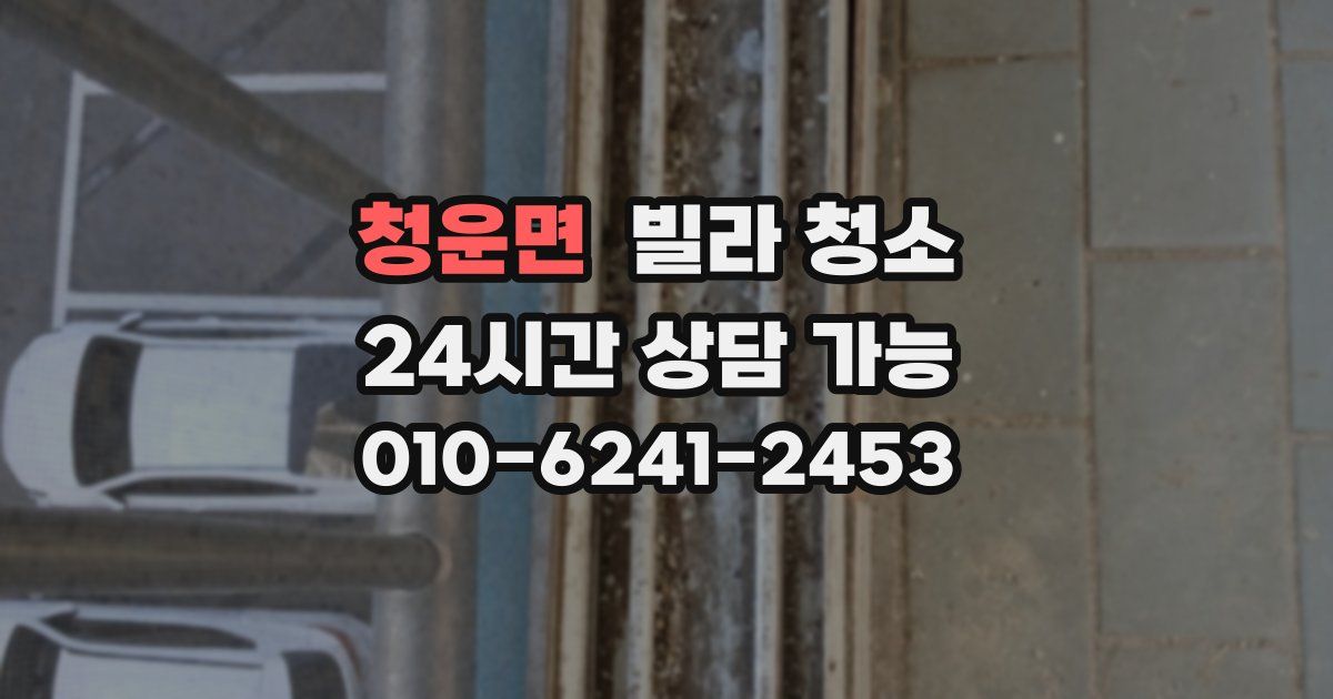 청운면 빌라 청소