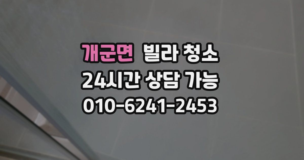 개군면 빌라 청소